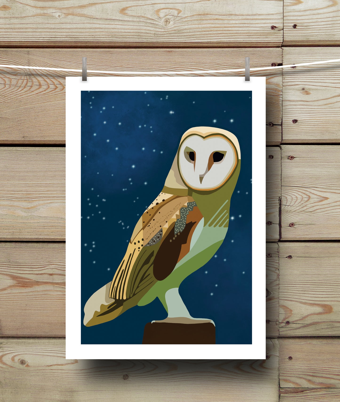 Owl 1