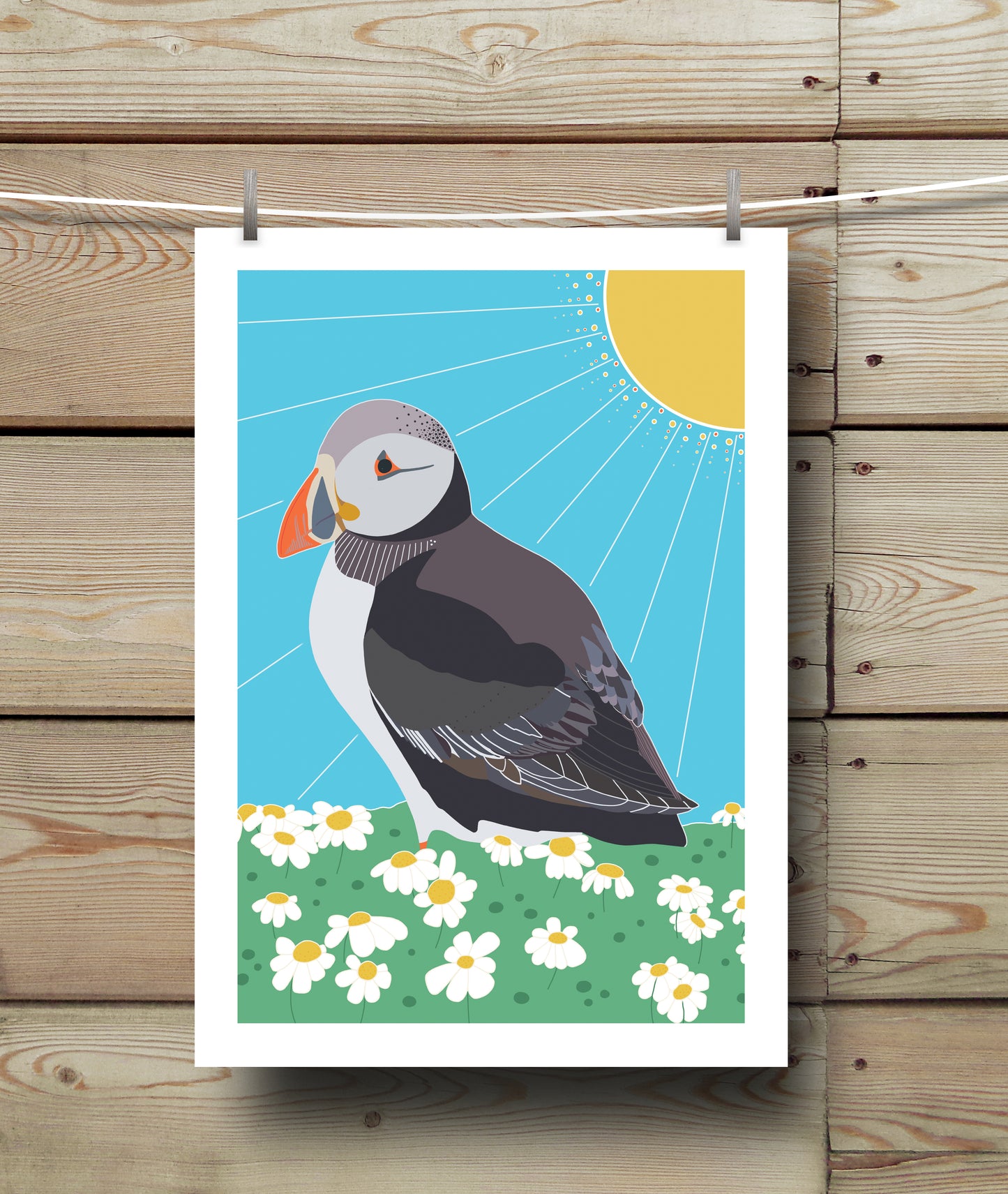 Puffin 1