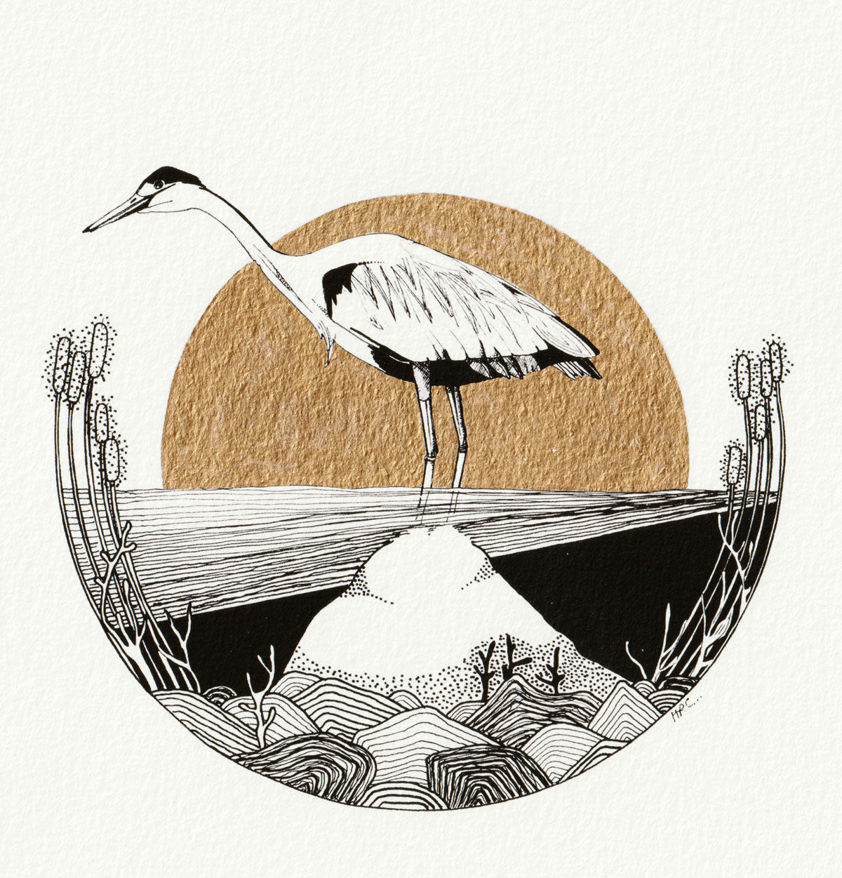 Heron