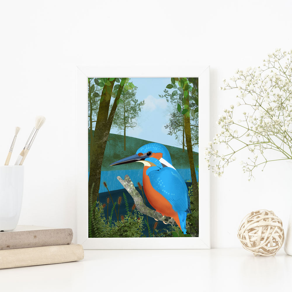 Illustration of a kingfisher sat at the side of a river