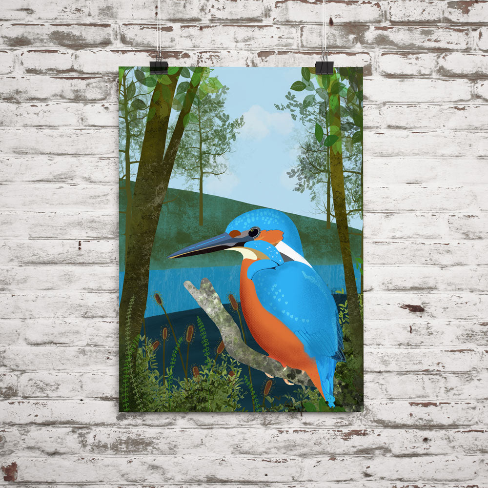 kingfisher illustration in poster format