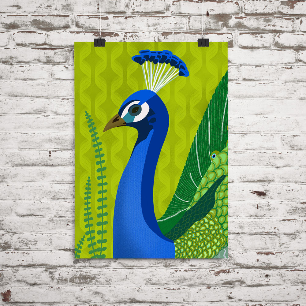 Peacock illustration shown in poster format