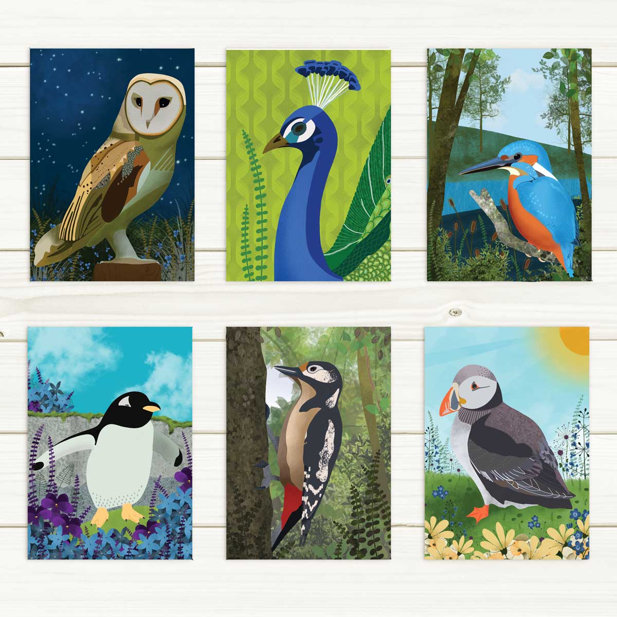 Close up view of the six cards included in the Wild Bird Pack