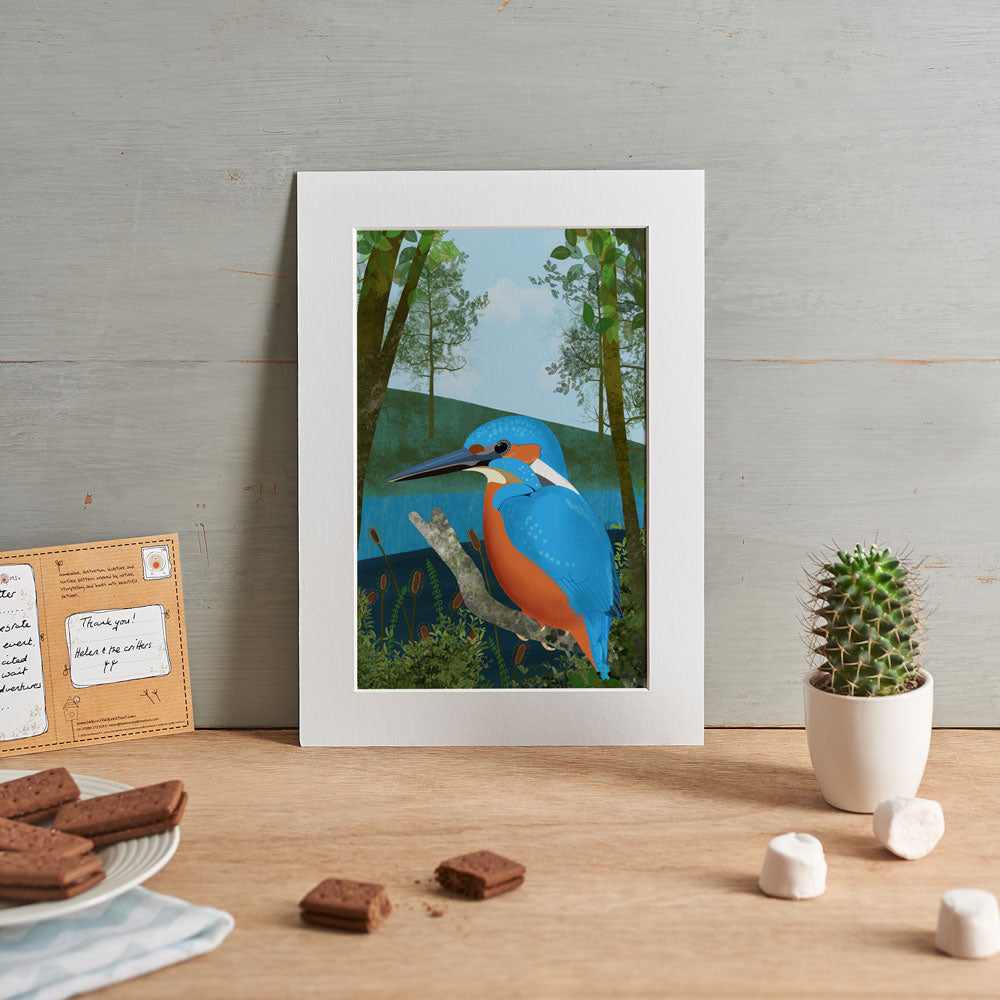 Illustration of a kingfisher sat amongst some reeds