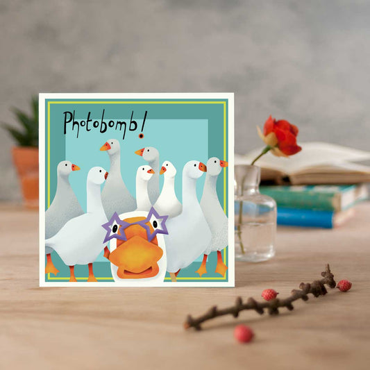 greetings card with a gaggle of geese and one photobombing at the front of the card