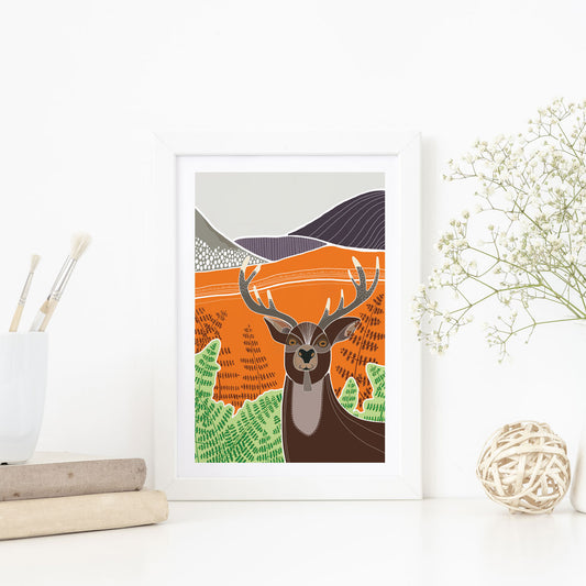 Graphic style illustration of a stag amongst some bracken